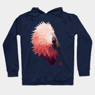 bearded_vulture Hoodie